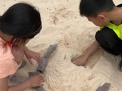 -光明小镇欢乐田园