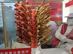 -和禄德冰糖葫芦