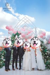 -格乐利雅婚礼艺术中心(南外滩店)