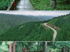 -苏木山森林公园