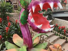 -沈阳植物园
