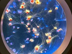 -南京金牛湖风景区