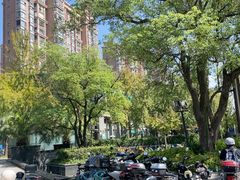 -中国农业银行(上海马戏城支行)