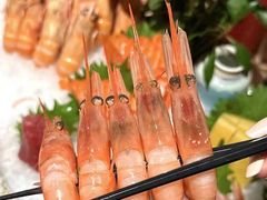 -王氏炉匠·烧鸟放题自助(三里屯店)