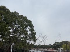 -新江湾城公园