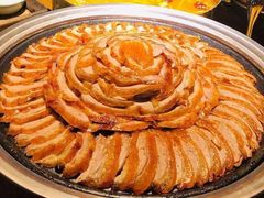 -守柴炉烤鸭(科华中路王府井店)