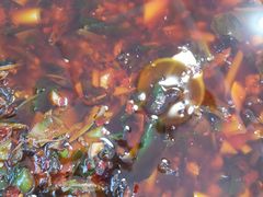 -乐山第一家临江鳝丝(茶坊路店)