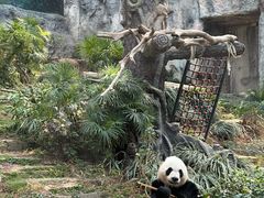 -石排湾郊野公园