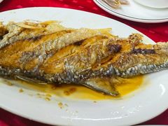 -蛇口康乐快餐鱼仔档(翠苑小区店)