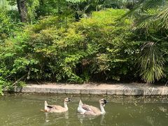 -洛阳市隋唐城遗址植物园