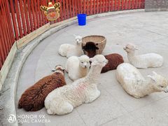 -国色天乡三期陆地乐园