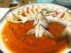 孔雀开屏鱼-西塘人家•黑金冠本地好店