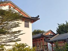 -广东花都湖国家湿地公园