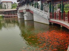 -西海子公园