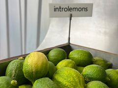 -introlemons(北京西单更新场店)