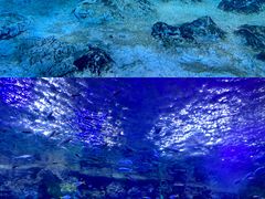 -珠海长隆海洋王国