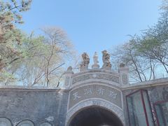 -保定市动物园