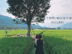 -艾米稻香小镇
