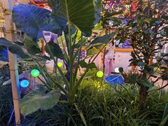 -醉二娘正宗西昌火盆烧烤(大丰店)