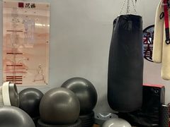 -温鉴良实用咏春拳