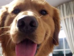 -贤花饭店(凯德店)