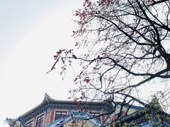-广州中山纪念堂