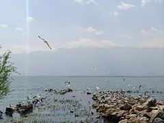 -大理洱海