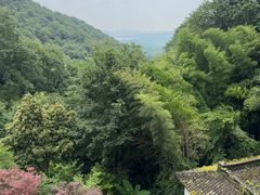-韬光茶庵