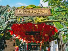 -上海大自然野生昆虫馆(东方明珠·爬宠昆虫探索中心)