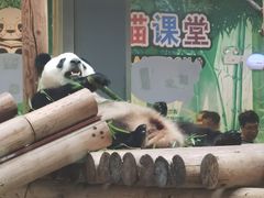 -西安秦岭野生动物园