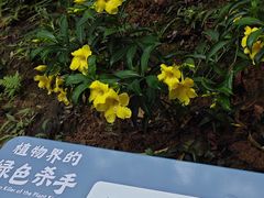 -广州白江湖森林公园