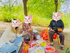 -永定河休闲森林公园