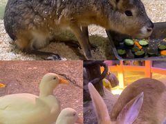 -正佳雨林生态植物园