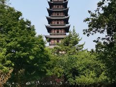-上海方塔园