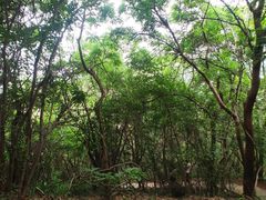-采石矶景区