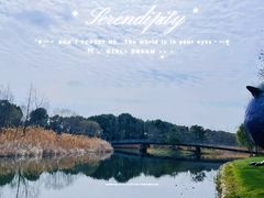 -养云安缦吧THE BAR