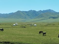 -新疆那拉提国家旅游度假区