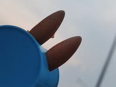 -泡泡玛特POPMART(蓝色港湾店)