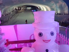 -世界之窗阿尔卑斯冰雪世界