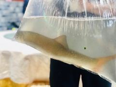 -将就吃农家特色土菜馆