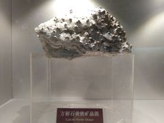 -甘肃地质博物馆