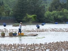 -郴州特产舜华临武鸭(郴州西站店)