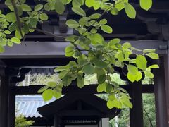 -河南省黄河迎宾馆
