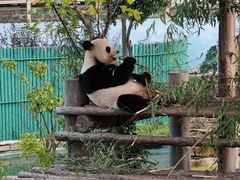 -西霞口神雕山野生动物世界