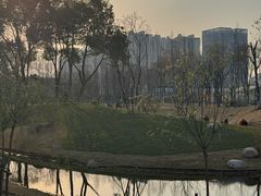 -后襄河公园