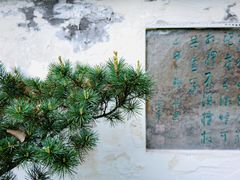 -南山植物园