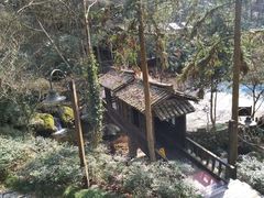 -宁海森林温泉