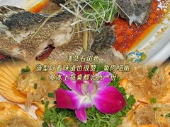 -小海豚•老字号海鲜餐厅(天涯店)