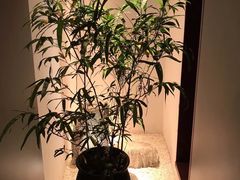 -金色艳阳天•粤菜 淮扬菜(古平岗店)