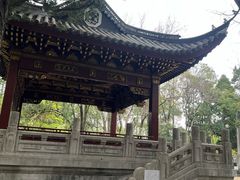 -汇龙潭